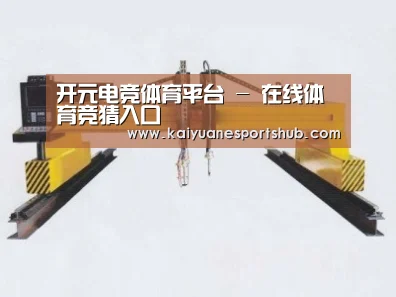 产品名称十七